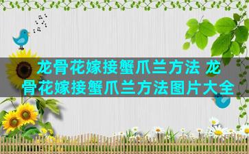 龙骨花嫁接蟹爪兰方法 龙骨花嫁接蟹爪兰方法图片大全